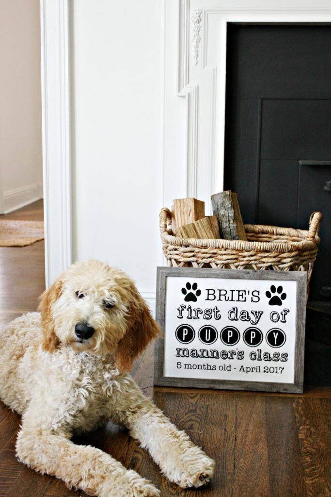 Puppy's First Day of Class Free Printable Signs