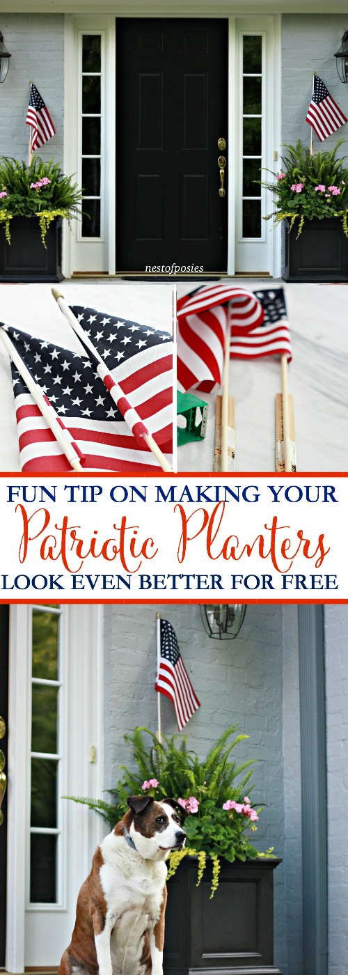 Patriotic Planters Decorating Tip