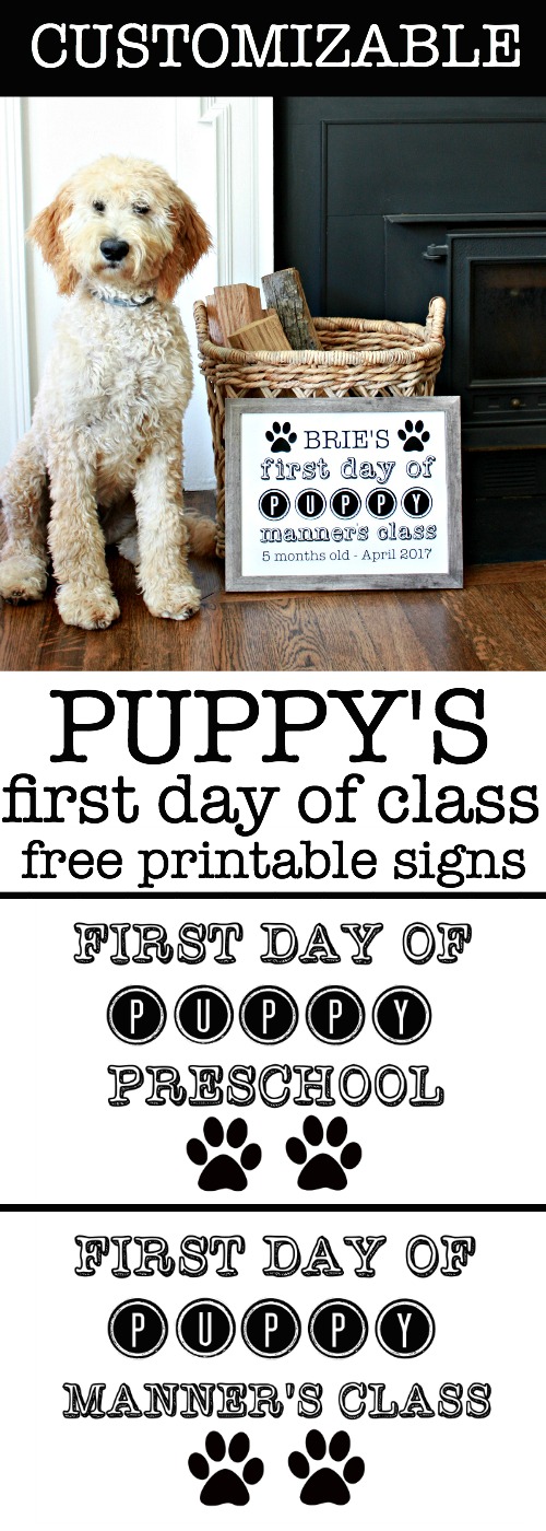 Puppy's First Day of Class Free Printable Signs