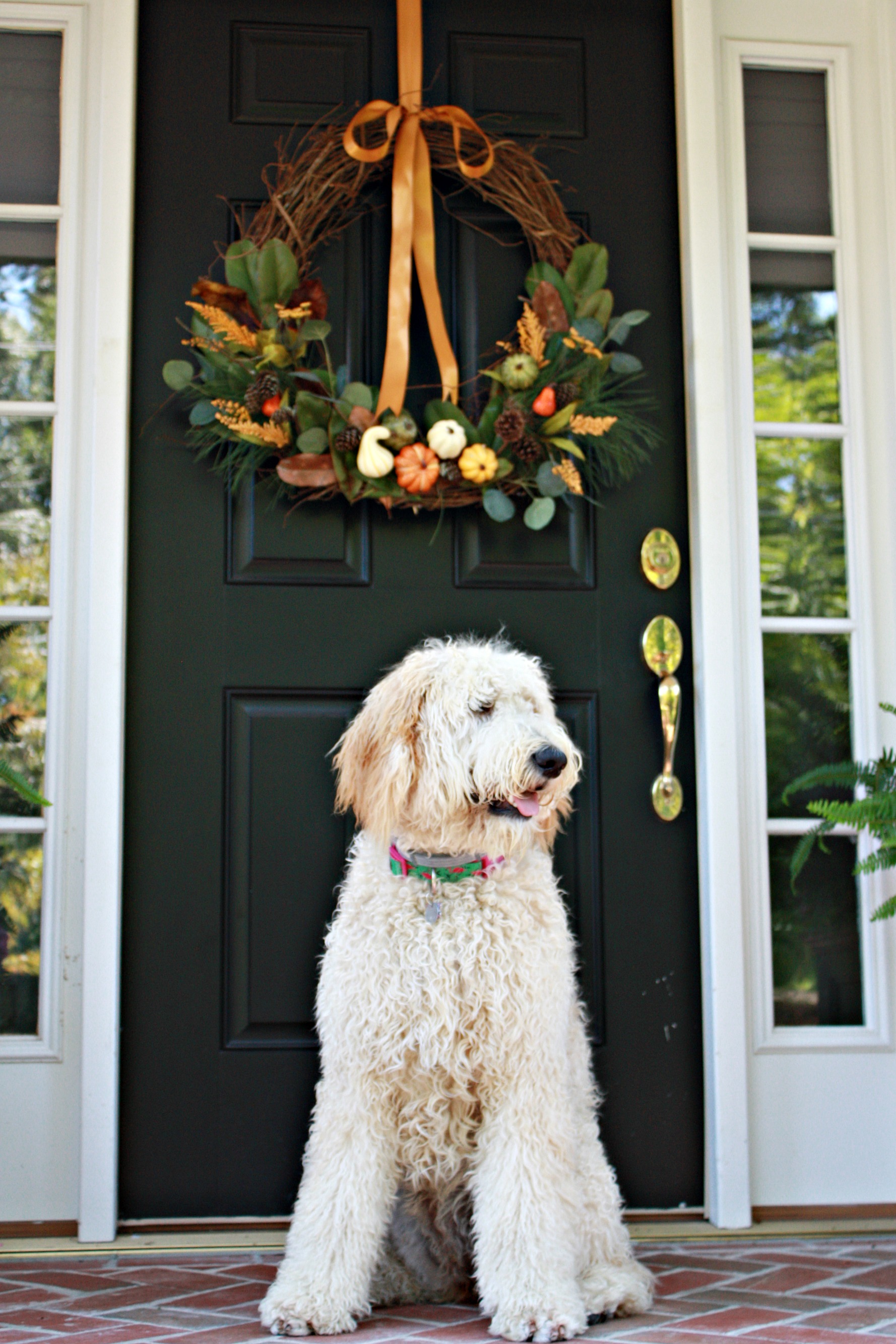 DIY Nature Inspired Fall Wreath