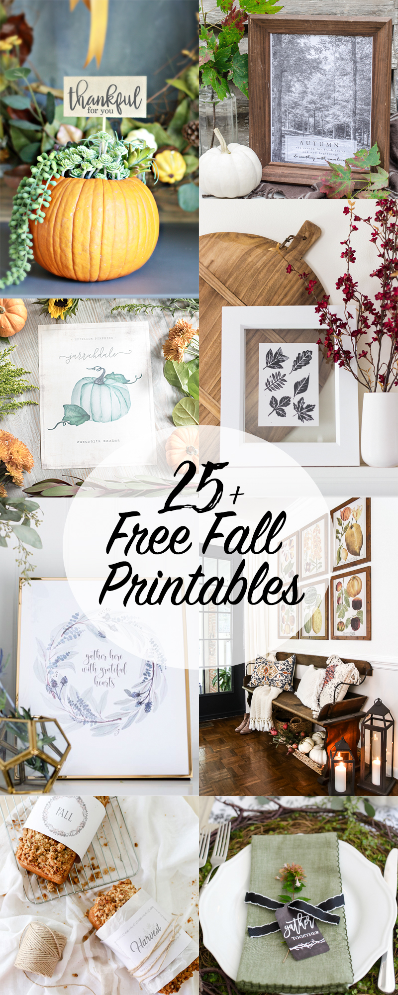 25+ Free Fall Printables 