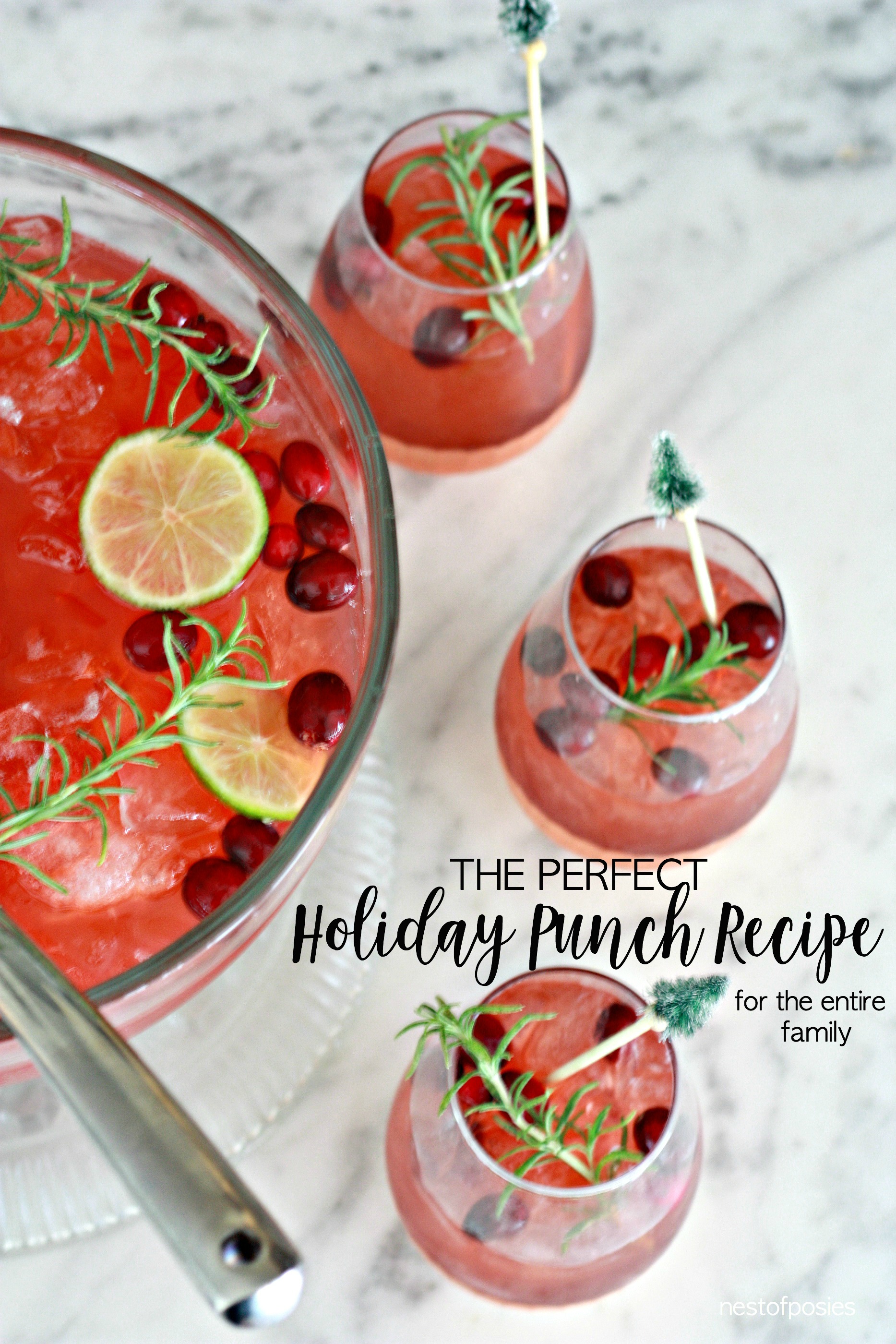 The Perfect Holiday Punch Recipe for the Entire Family