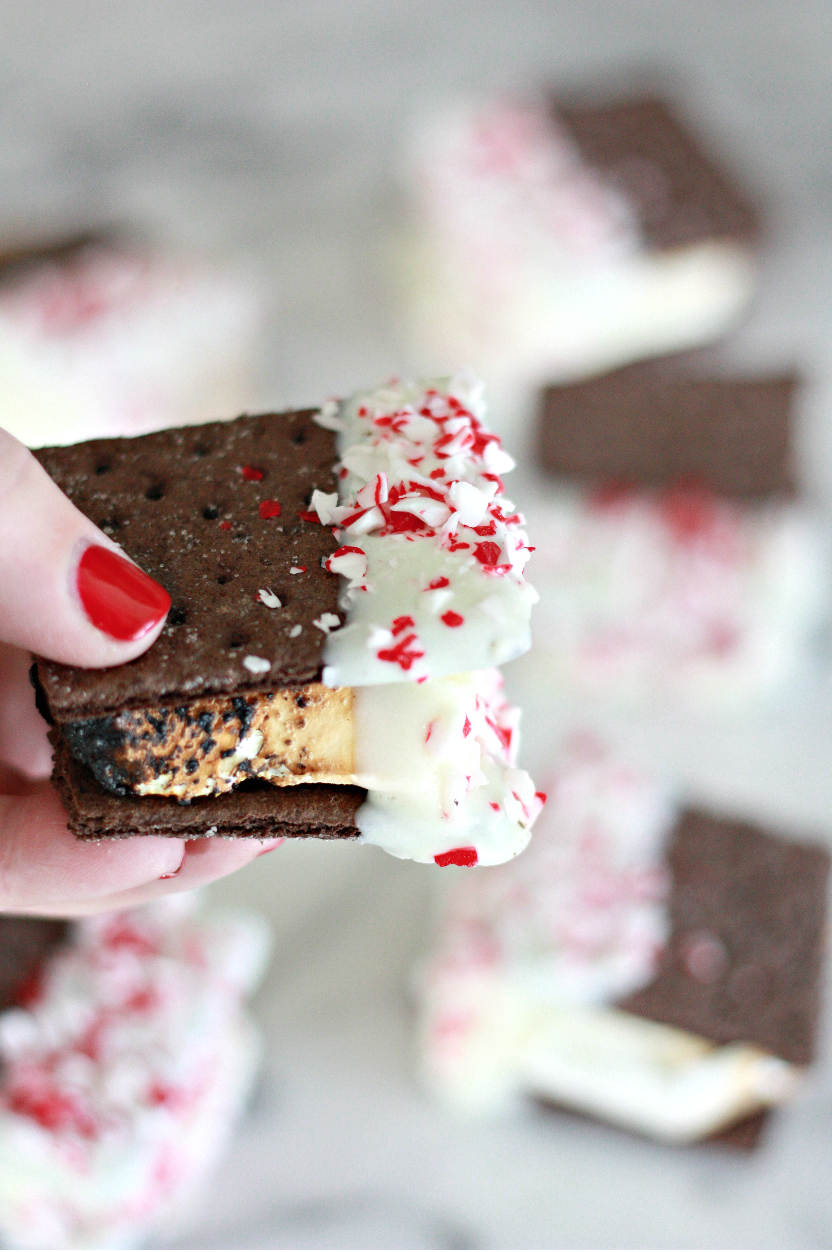 Chocolate Peppermint S'mores