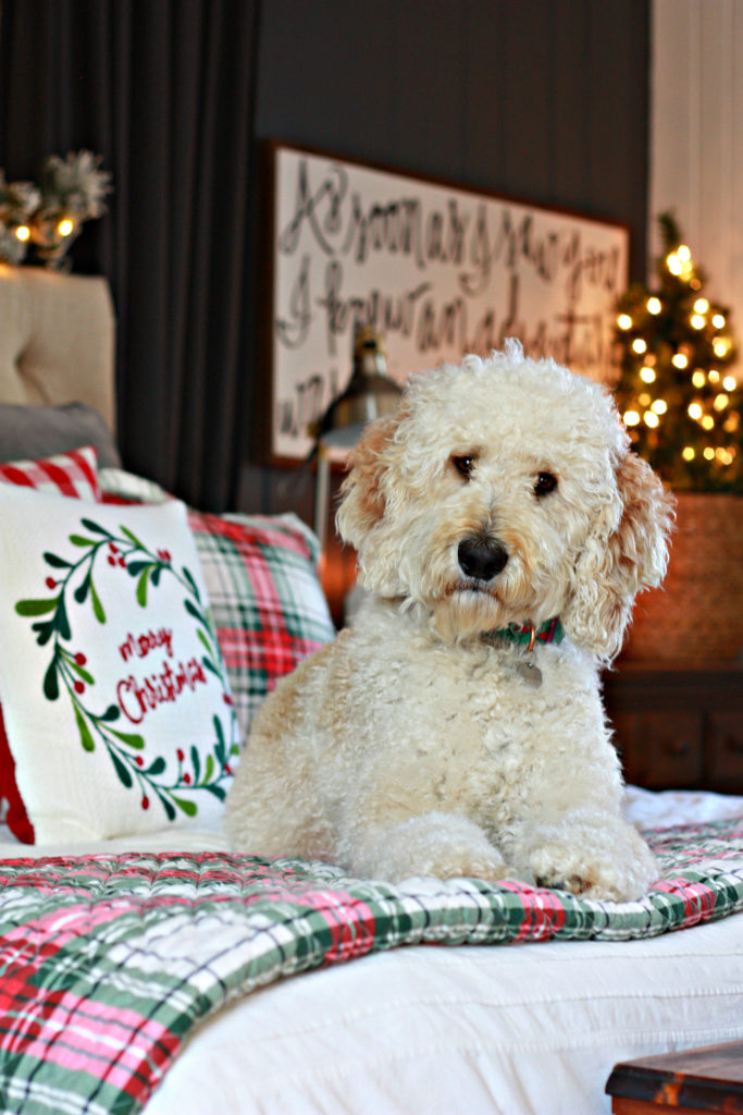 Our Christmas Bedroom