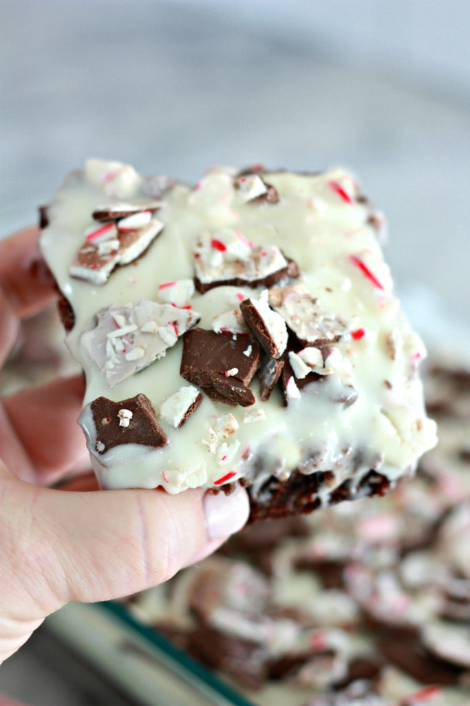 Peppermint Bark Cream Cheese Topped Fudgy Brownies