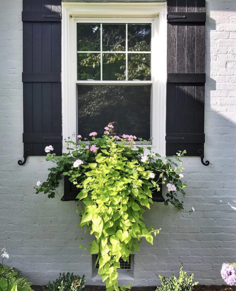 Gorgeous Window Boxes