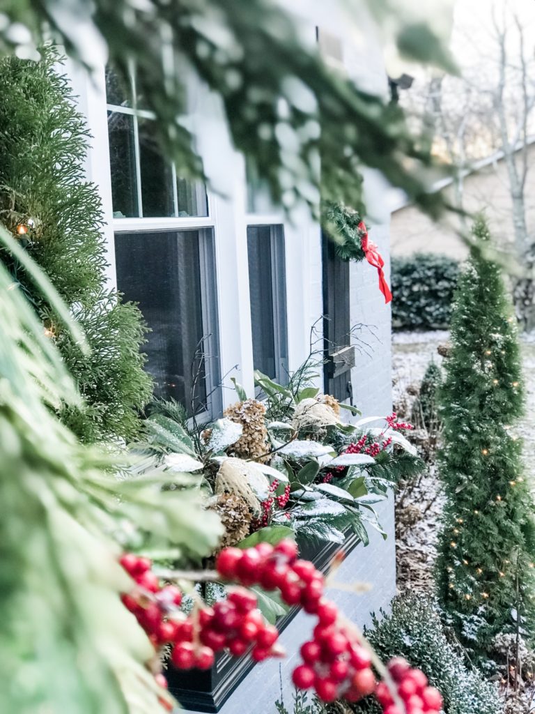 What to Plant in Your Christmas Window Boxes
